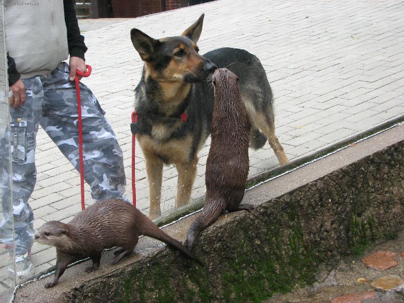 Foto: Bonita-Pusinka