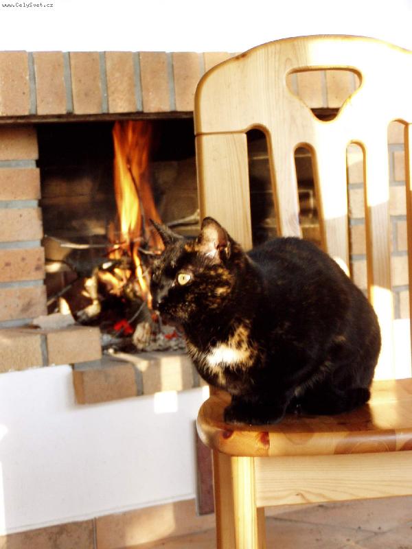 Foto: Pohodi�ka u krbu-To je ale tepl��ko...