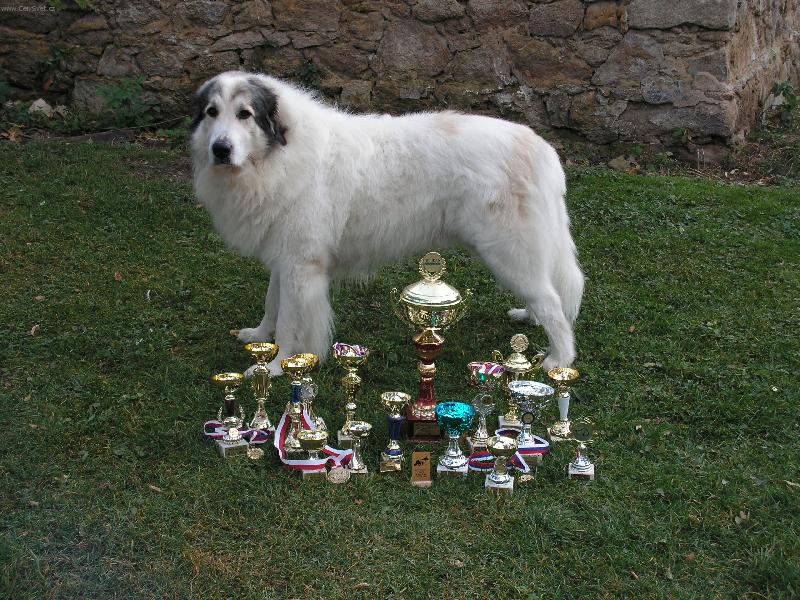 Foto: CH.Cyro Mountain Almanach-Monty a jeho trofeje