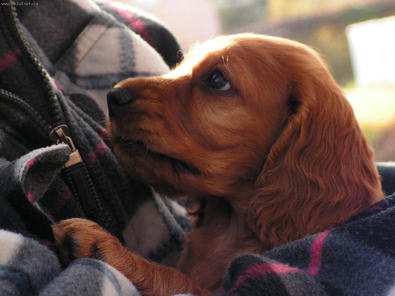 Foto: U Tebe je tepl��ko......