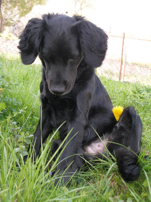 Foto: odpo�inek v zahrad�-odpo��v�m :)