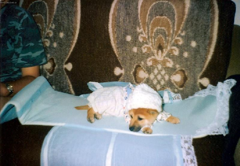 Foto: miminko-prost� miminko