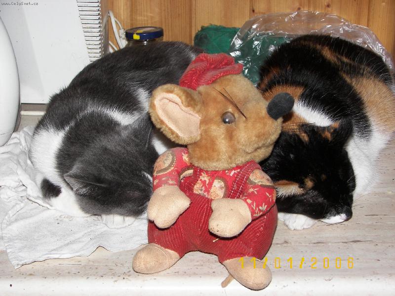 Foto: JOOO ,kdy� holky sp�,n�kdo je hl�dat mus�...