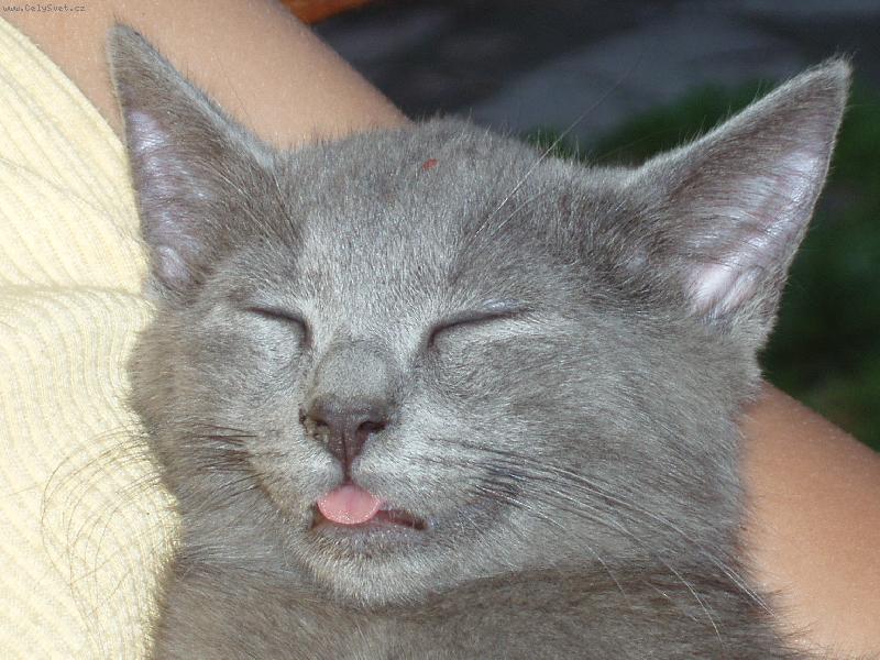 Foto: Kdy� Mat�sek sp�-Takhle jse mi nejl�p sp�