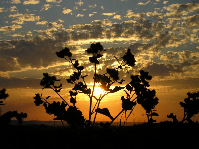 Foto: ve�ern� n�lada