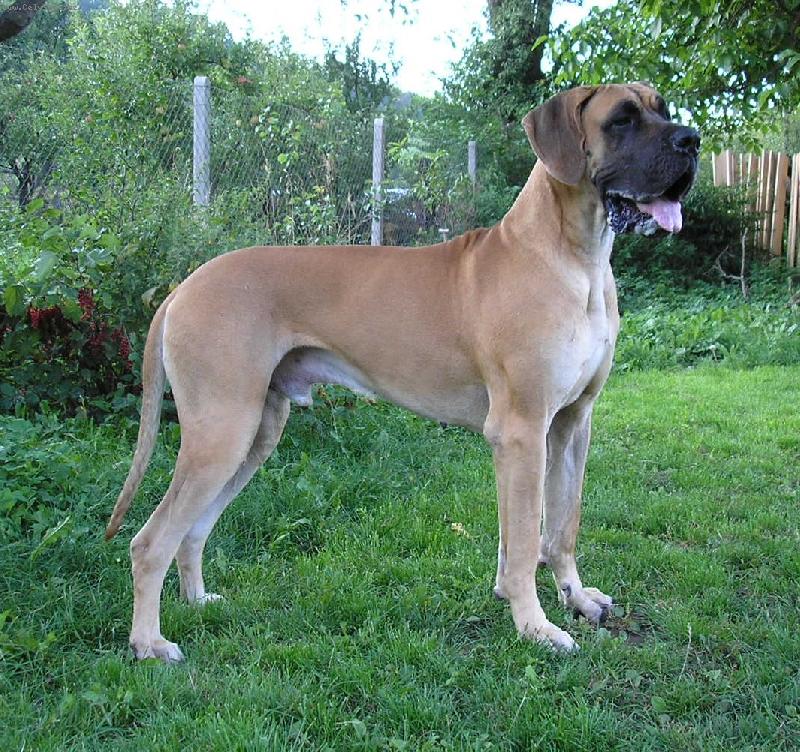 Foto: Randolph Norach