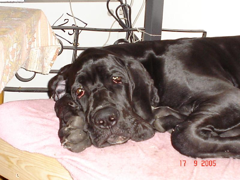 Foto: Nen� nad pohodl� - kdy� holt nen� pol�t��ek.......