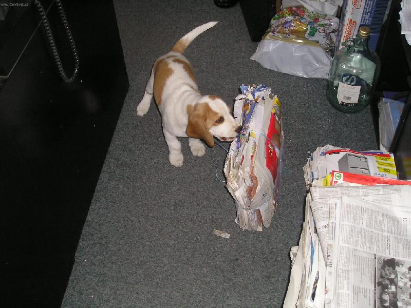 Foto: To je ale t�k�..-Alex