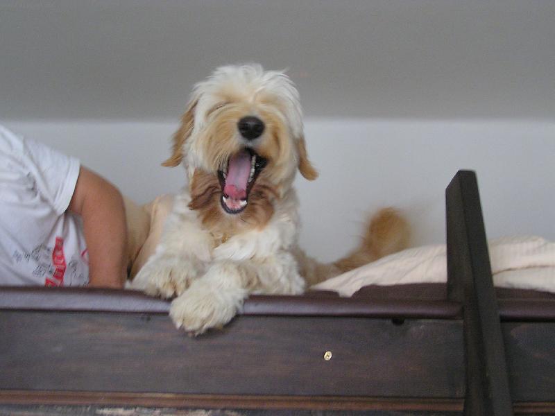 Foto: Mat�j-. . . to jsem si pospal!