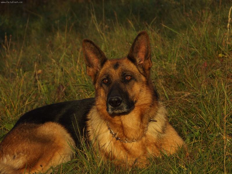 Foto: sledujem z�pad slnka-v jeseni