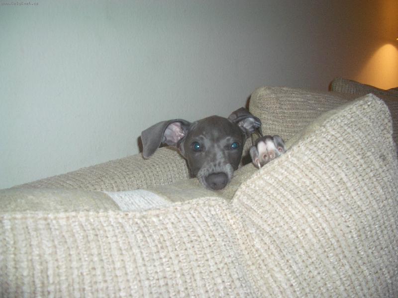 Foto: Zurim, kdyz me nekdo foti....