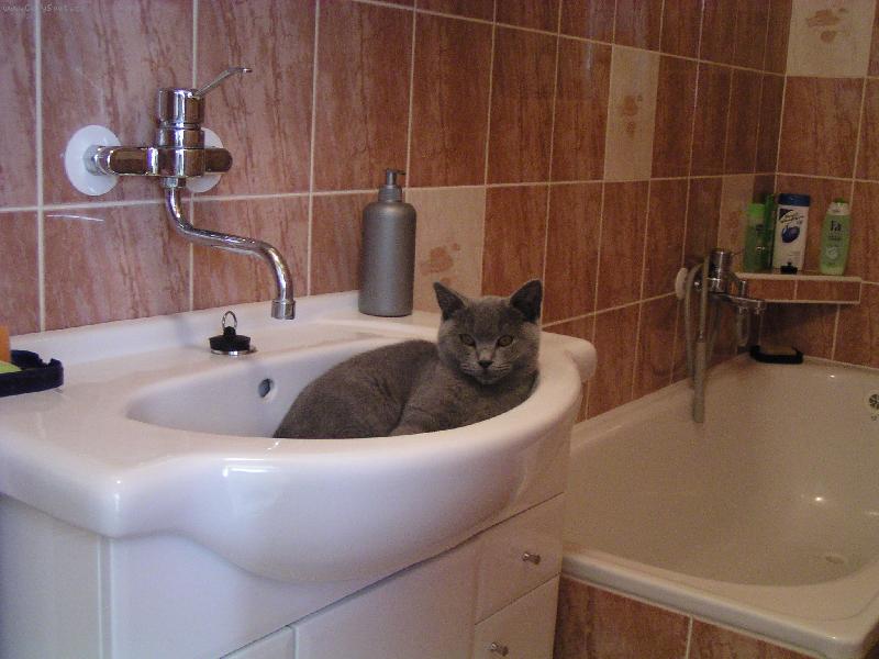 Foto: Tady si r�d schrupnu