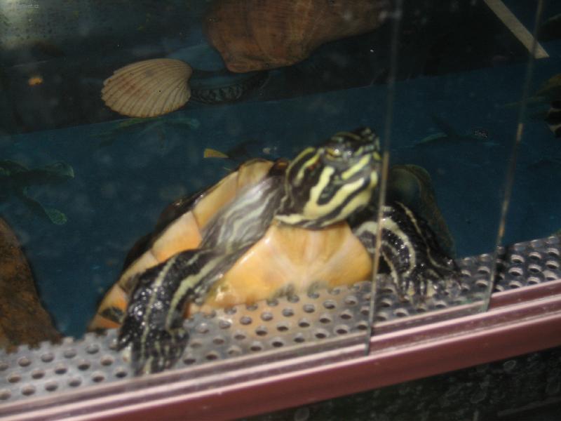 Foto: J� budu venku prvn�!-Na�e �elvi�ky