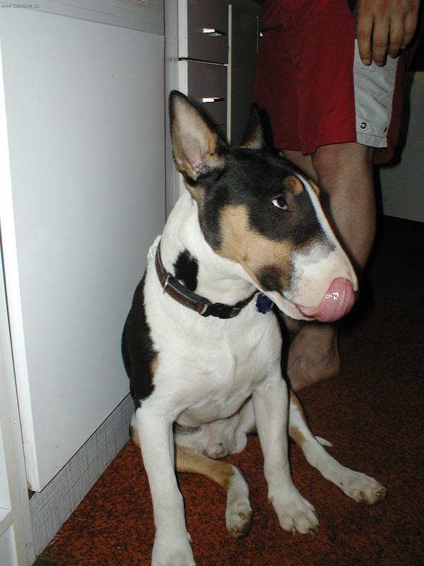 Foto: Marley-M�am to byla dobrota:-)