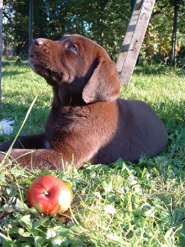 Foto: Baru�ka-M�j and�lek