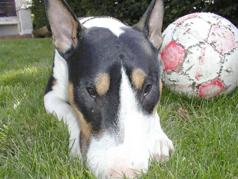 Foto: Marley-Unaven� fotbalista