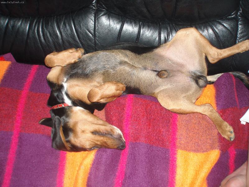 Foto: To jsem j� Ronny-Pohodi�ka