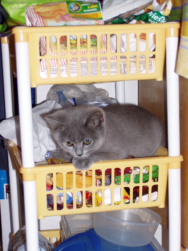 Foto: ...a u� jsou moje