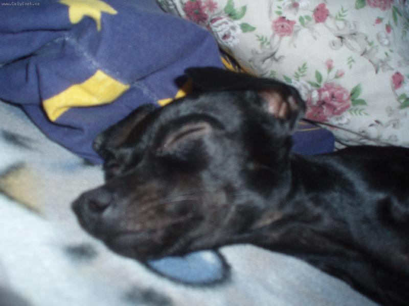 Foto: Kessynka-Kessynka si �la hodit �lof�ka :)