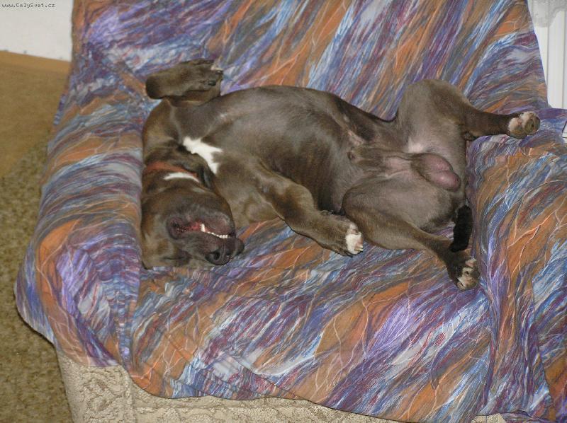 Foto: m�m n�jak m�lo m�sta