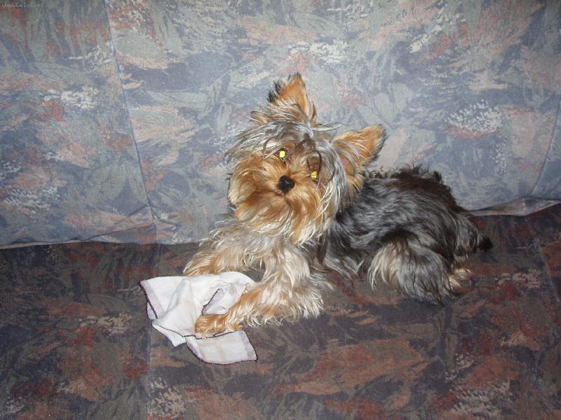 Foto: Terinka.-Uko�ist�n� p�n��kovo kapesn�k!