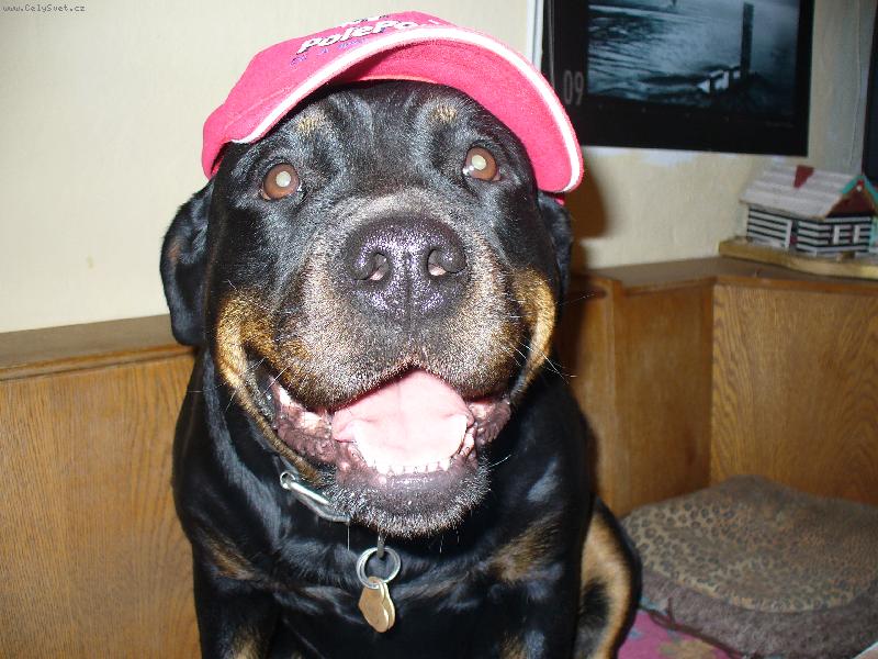 Foto: Nellynka-U� brzy vyyraz�m s ta�kou na Formuli 1