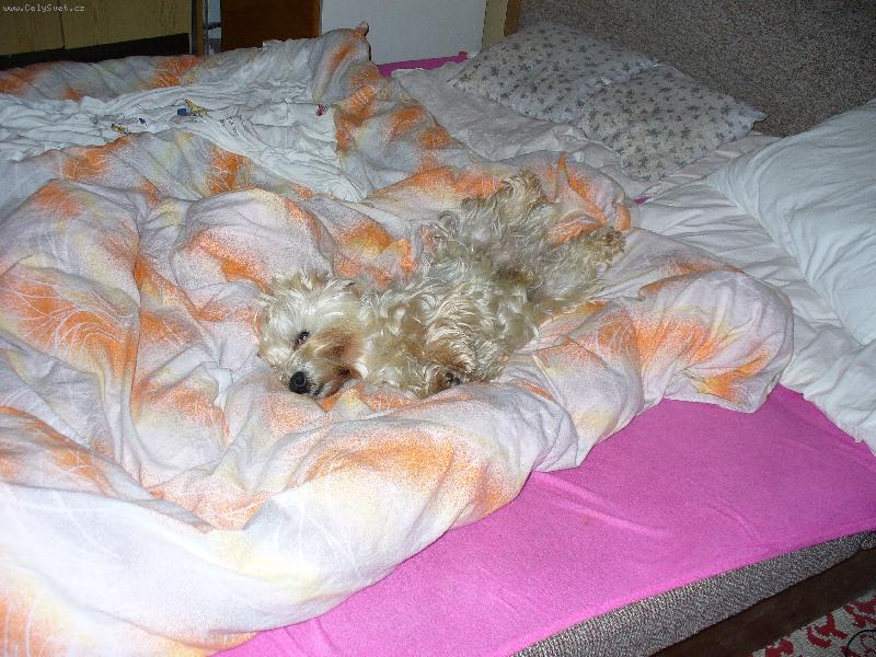 Foto: Benn��ek-Takhle se odpo��v� nejl�pe...........