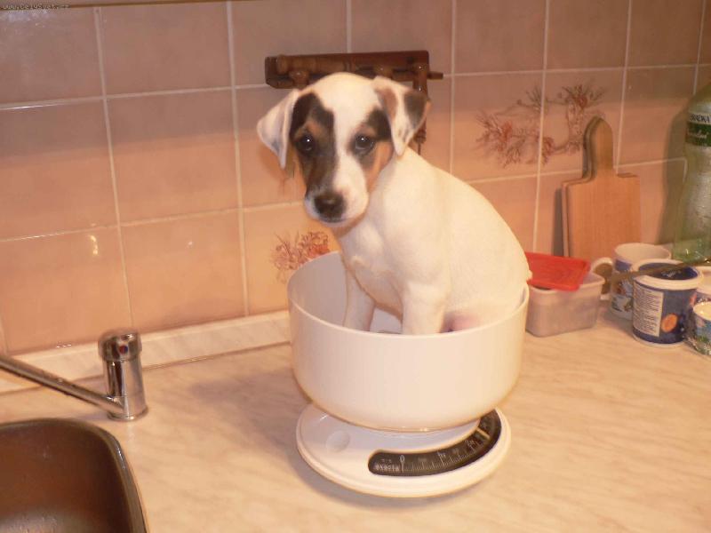 Foto: FATTY HOP TROP-Tak co m�m zase v�c......