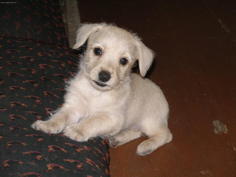 Foto: Na�e T�ne�ka