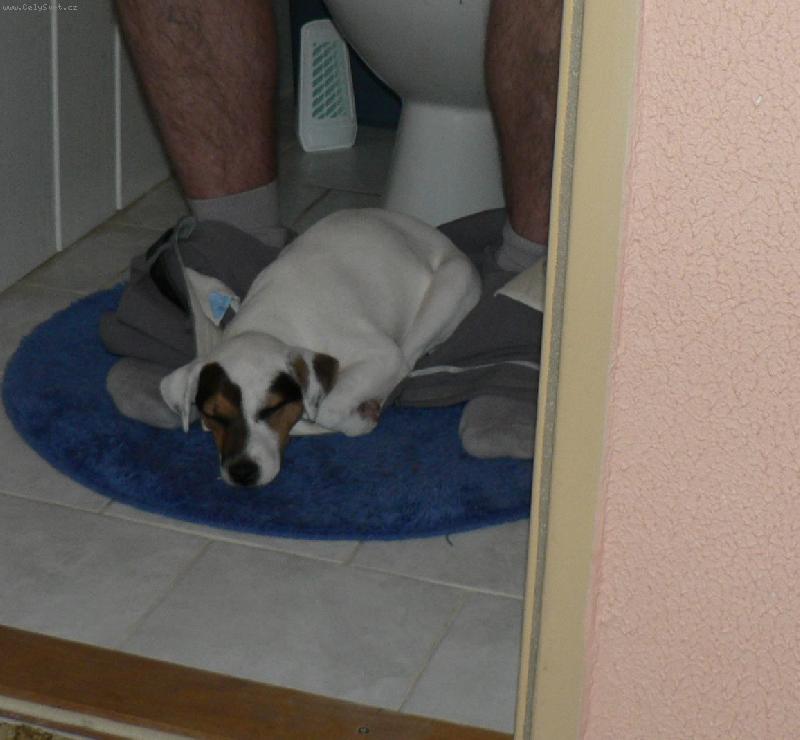 Foto: FATTY HOP TROP-Tomu se ��k� v�rnost .......