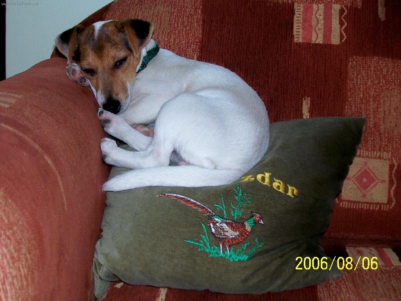 Foto: Zat�m si nech�m o lovu jen zd�t-Sn�n� o lovu