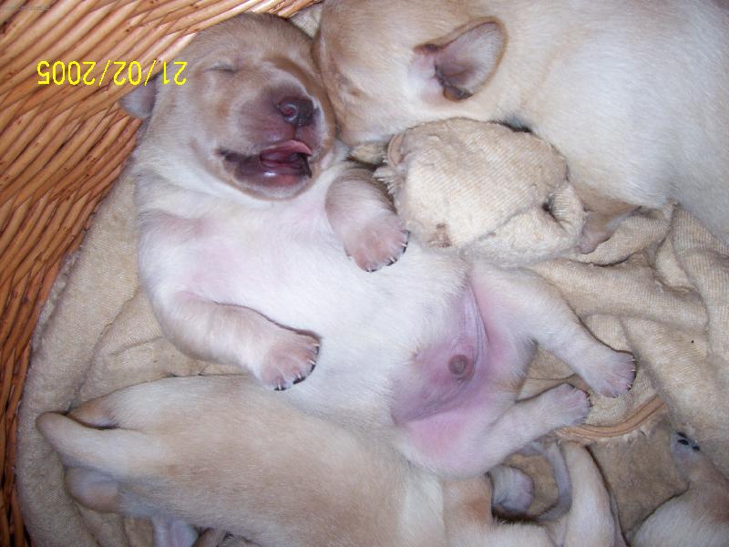 Foto: Nechte m� spinkat