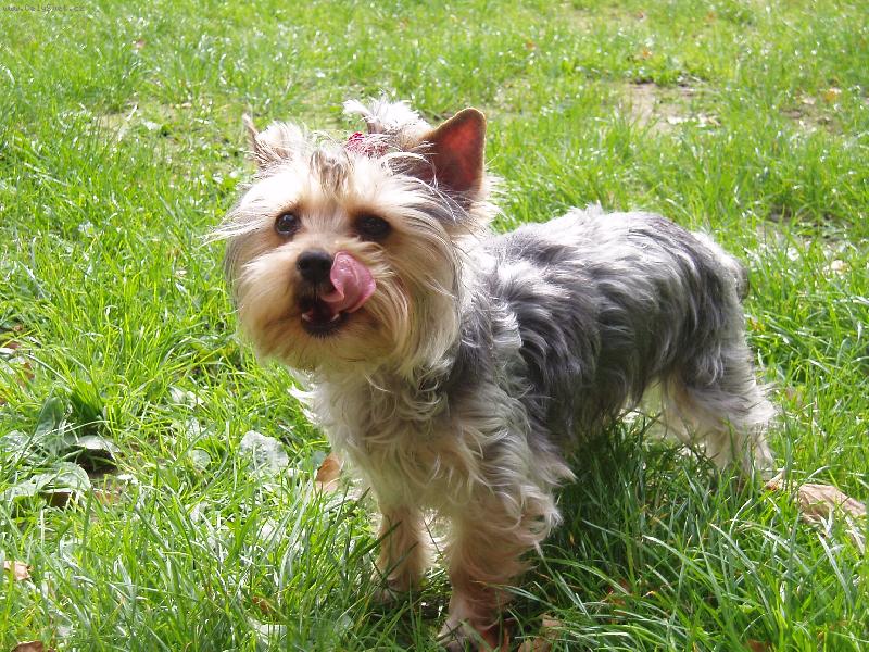 Foto: Amynka:o)-Koukejte mi taky dat:)