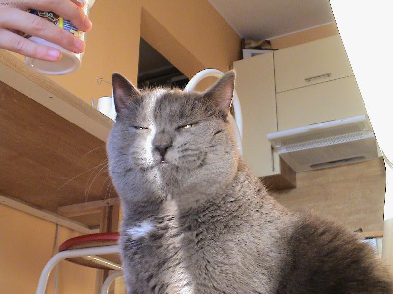 Foto: Vojt�k-Je�t�e jsem �ed�,jinak bych vypadal jak Garfield...