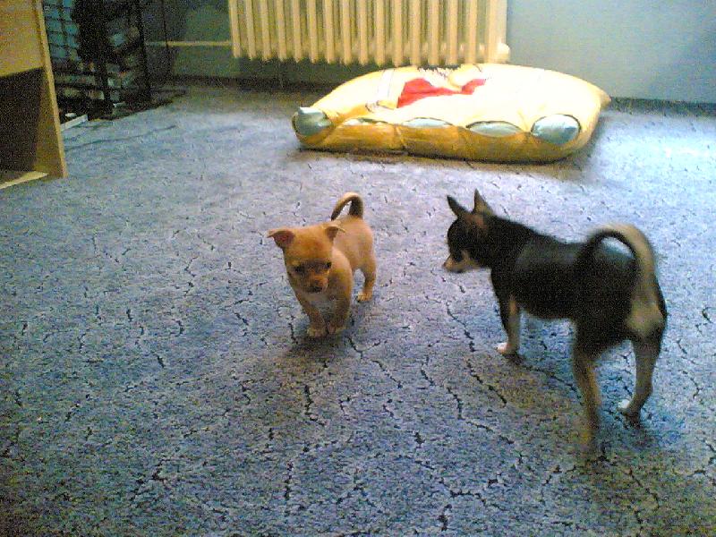 Foto: Tak kam t� m�m kousnout-Ennynka a Vikynka