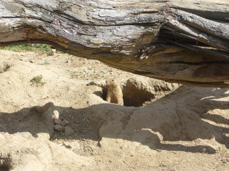 Foto: Vzduch je �ist�!-ZOO Brno