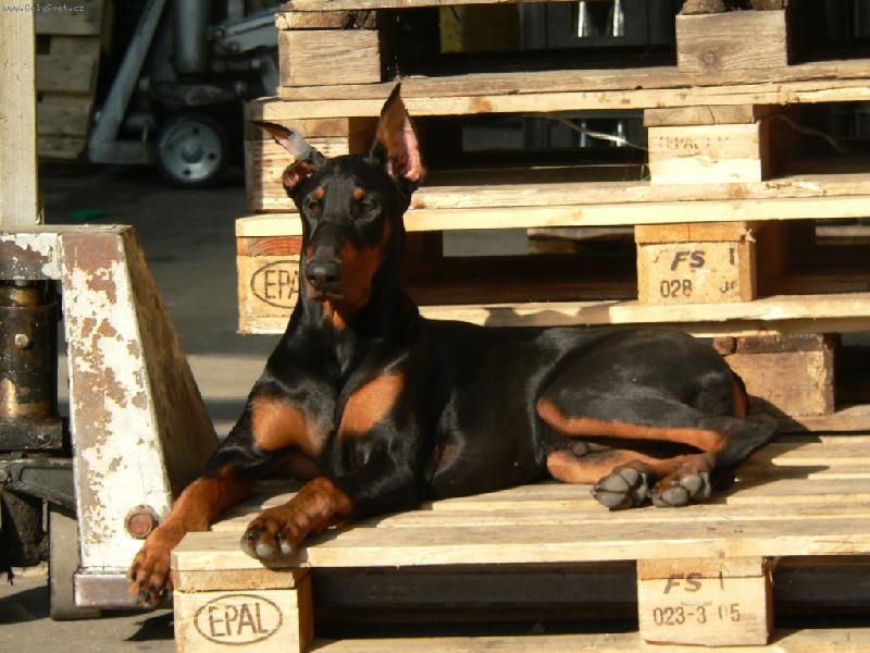 Foto: Tak u� m� n�kdo odveze?