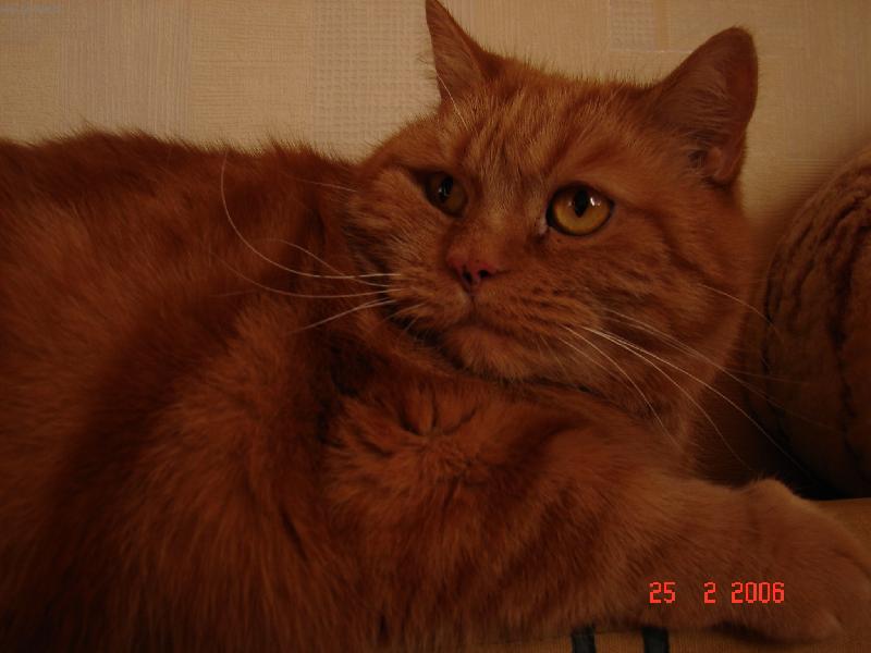 Foto: Vysava� je m�m nep��telem.