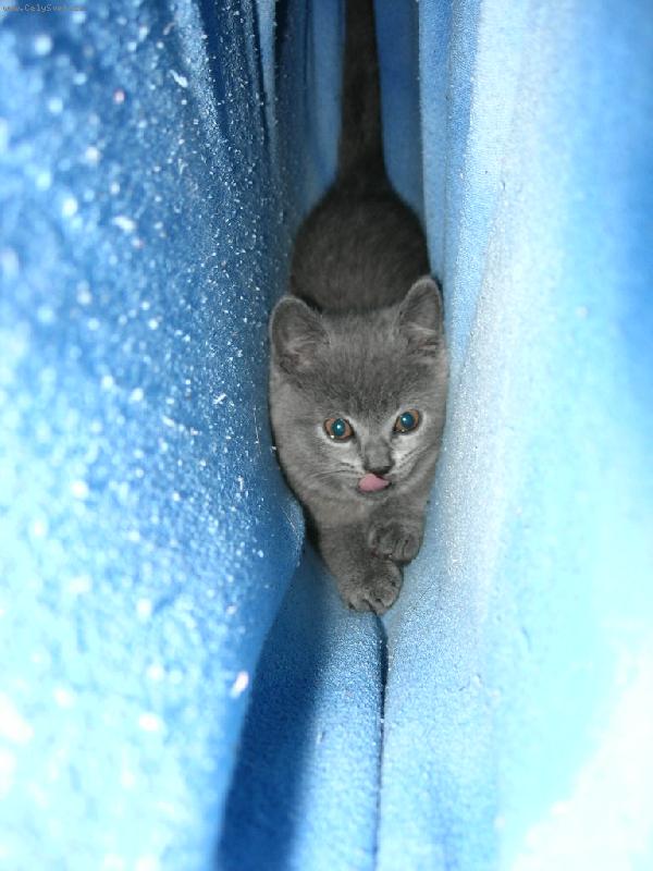 Foto: Mazlik-Na cest�ch