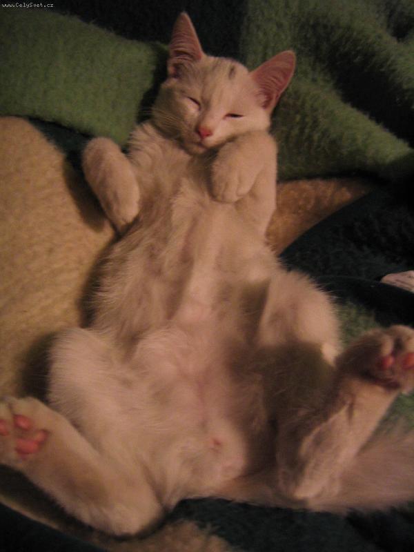 Foto: Sn�ek-T�k� pohoda