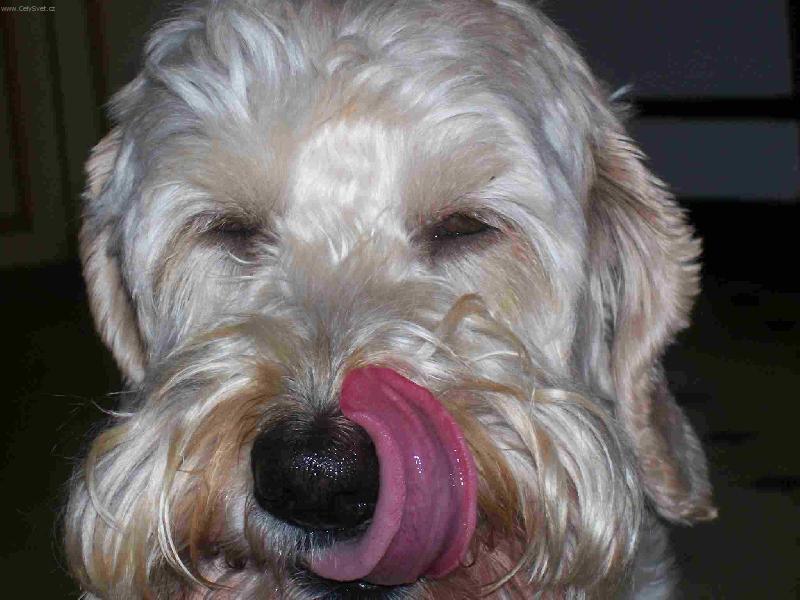 Foto: Ro�as-A tak se ublizujeme v�ichni