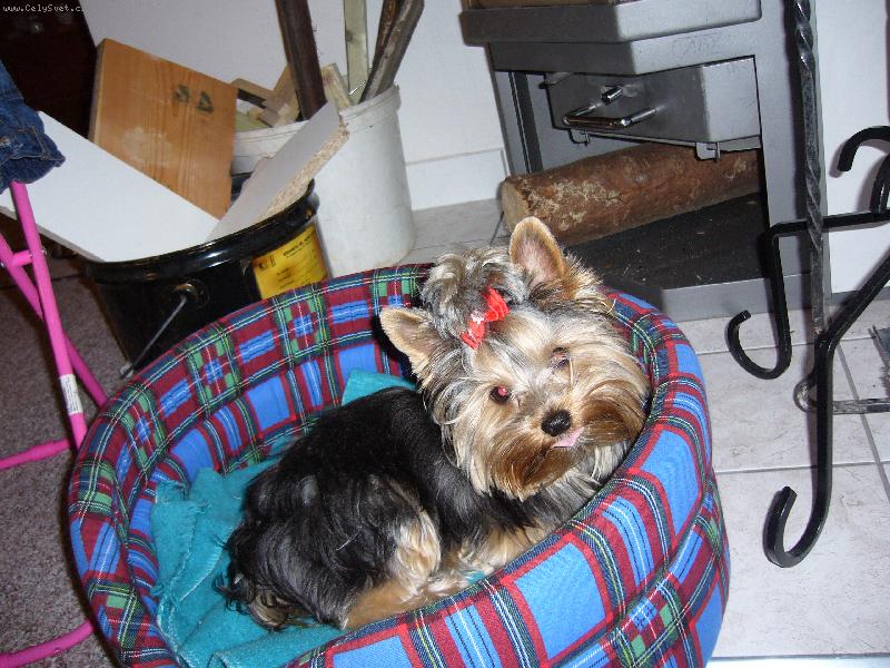 Foto: Sendy v pel�ku-To m�m ale hezk� jaz��ek???????....