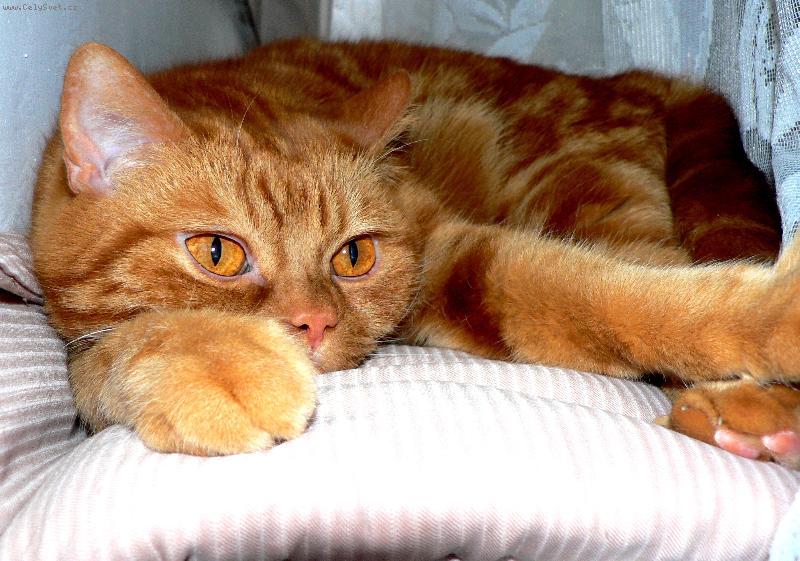 Foto: T�kej pohod��