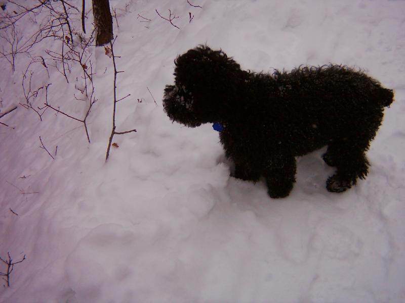 Foto: copak tam asi vid�-neco tam asi je