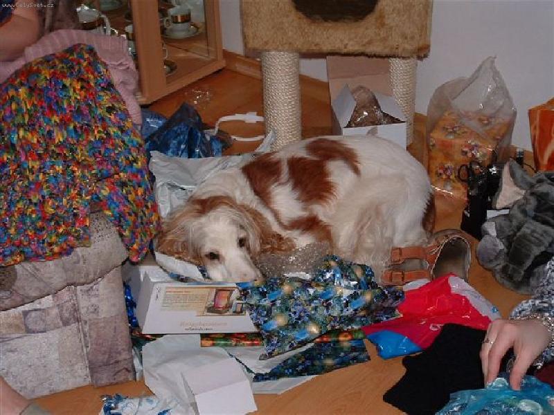 Foto: Kon��ek-To rozbalov�n� d� zabrat