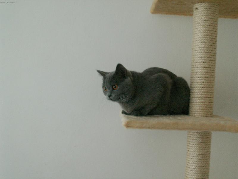 Foto: NA ��HAN�