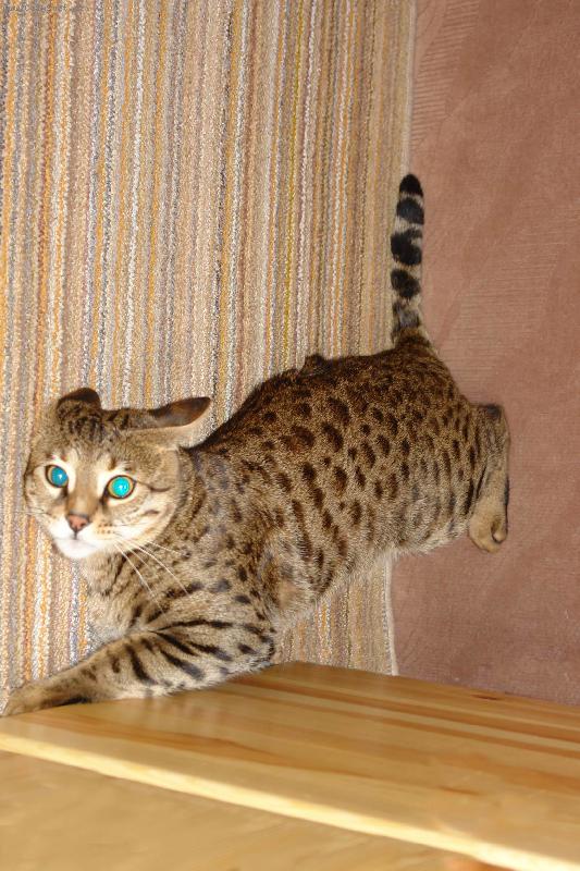 Foto: Tak to mi zase jednou nevy�lo