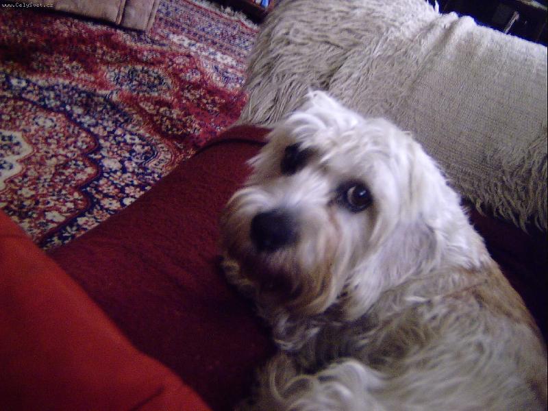 Foto: Denynka v bezpe�� gau�e