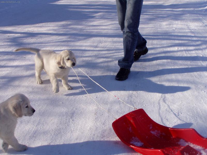 Foto: j� a boby-...ty boby jsou moje...