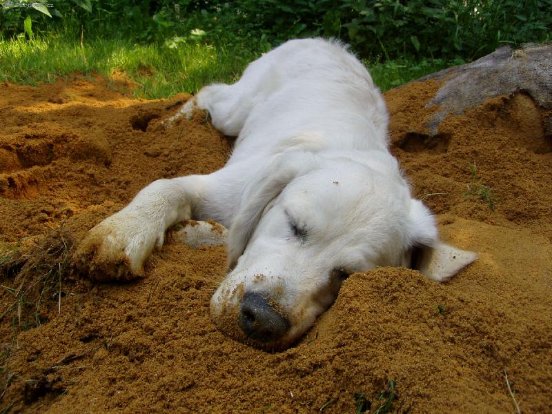 Foto: j� us�n�m v�ude...��dn� probl�m